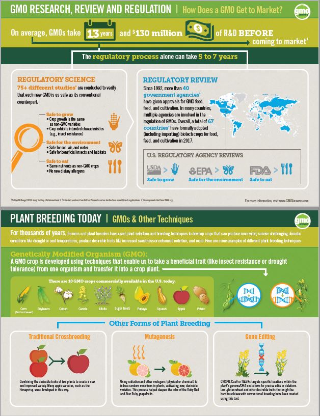 How GMOs Are Made? | GMO Answers